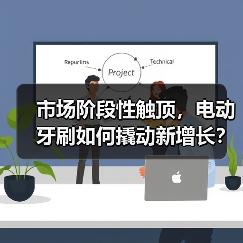 市场阶段性触顶,电动牙刷如何撬动新增长?(图1) 市场阶段性触顶,电动牙刷如何撬动新增长?(图1)