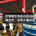 超擎数智与英迈达成战略合作,共筑AI服务器产业新生态(图3) 超擎数智与英迈达成战略合作,共筑AI服务器产业新生态(图3)