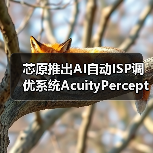 芯原推出AI自动ISP调优系统AcuityPercept(图1) 芯原推出AI自动ISP调优系统AcuityPercept(图1)