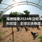 海信视像2024年营收净利双增:全球出货稳居第二,激光电视份额全球第一(图3) 海信视像2024年营收净利双增:全球出货稳居第二,激光电视份额全球第一(图3)
