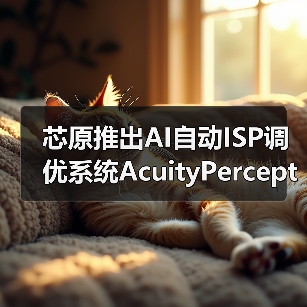 芯原推出AI自动ISP调优系统AcuityPercept(图4) 芯原推出AI自动ISP调优系统AcuityPercept(图4)