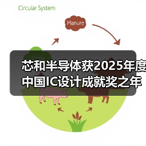芯和半导体获2025年度中国IC设计成就奖之年度创新EDA公司奖(图3) 芯和半导体获2025年度中国IC设计成就奖之年度创新EDA公司奖(图3)