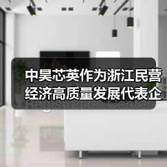 中昊芯英作为浙江民营经济高质量发展代表企业,接受30余家媒体集体探访(图3) 中昊芯英作为浙江民营经济高质量发展代表企业,接受30余家媒体集体探访(图3)
