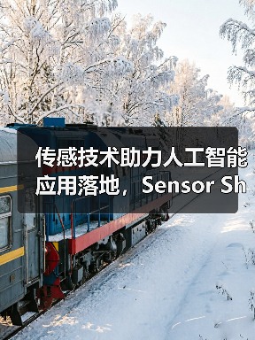 传感技术助力人工智能应用落地，Sensor Shenzhen 2025解锁未来机遇（图4）