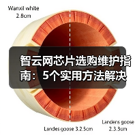 智云网芯片选购维护指南：5个实用方法解决常见问题2026