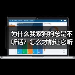 为什么我家狗狗总是不听话？怎么才能让它听我的？
