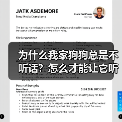 为什么我家狗狗总是不听话？怎么才能让它听我的？（图2）