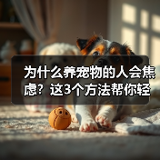 为什么养宠物的人会焦虑？这3个方法帮你轻松应对（图2）