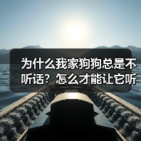为什么我家狗狗总是不听话？怎么才能让它听我的？（图3）