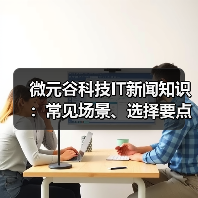 微元谷科技IT新闻知识：常见场景、选择要点与注意事项（图4）